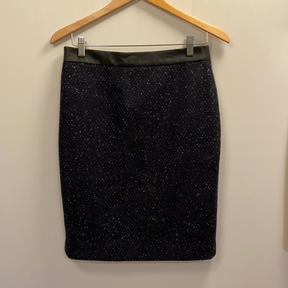 Ann Taylor skirt